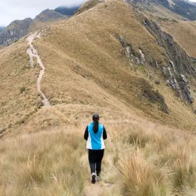 Hiking trails in Fernkloof Nature Reserve