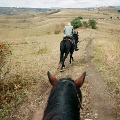 Horse riding on the Whale Coast